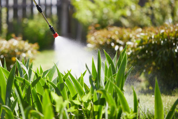 24/7 Emergency Mosquito Control experts in Fyffe, AL