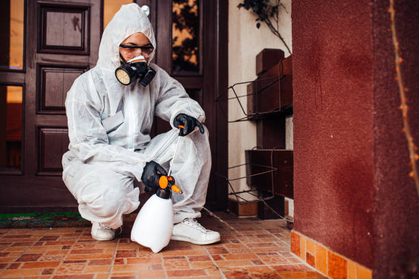 Reliable Mosquito Control contractor in Fyffe, AL by Show Me Pest Control